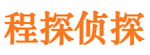 静安市侦探公司